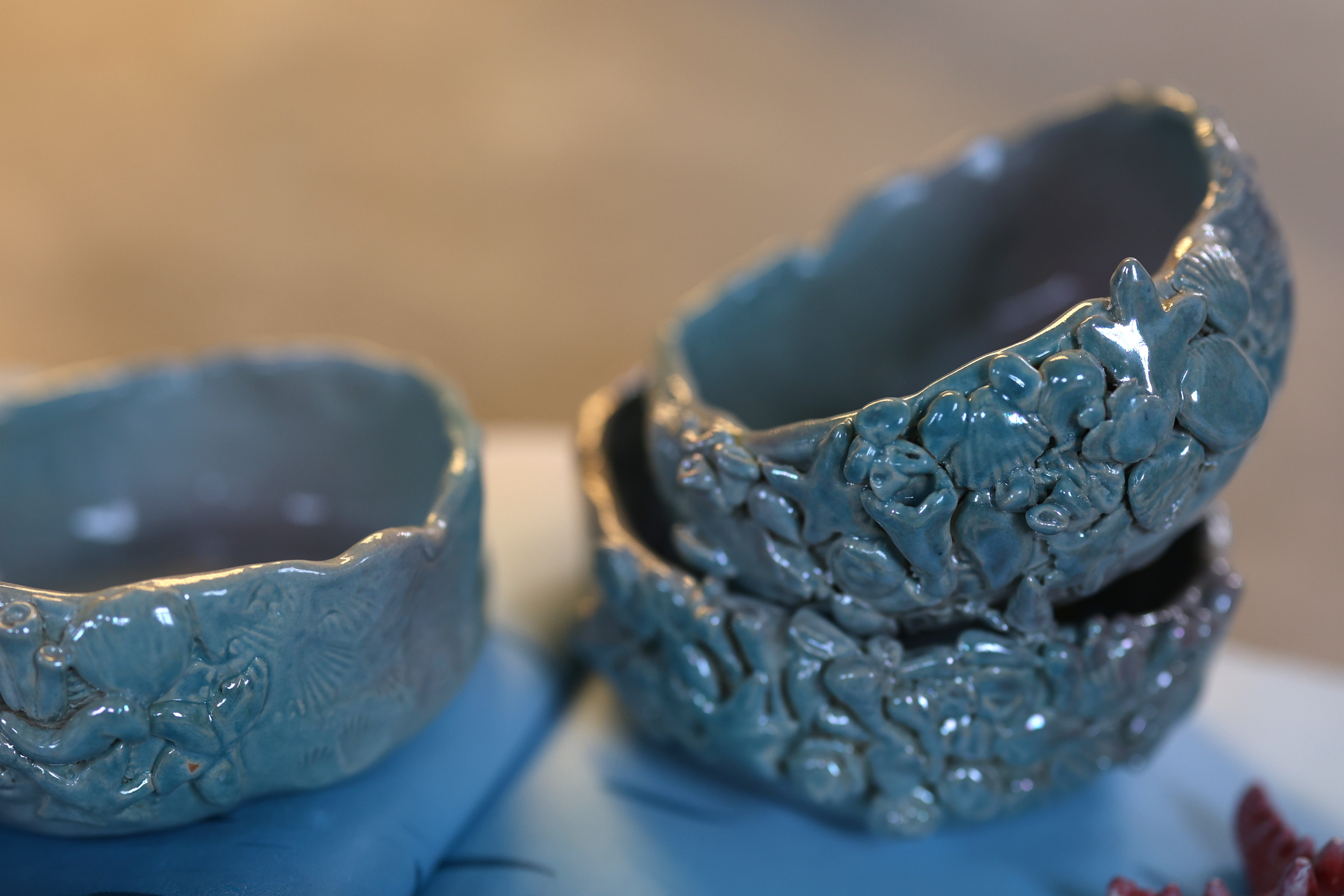 Миска с кораллами, лепка 6+ фото 1